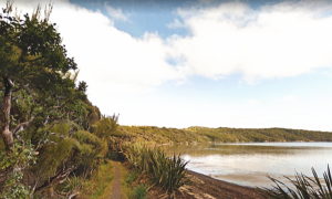 ニュージーランド　一番南にある島　スチュワート島